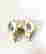 item-133831537=5