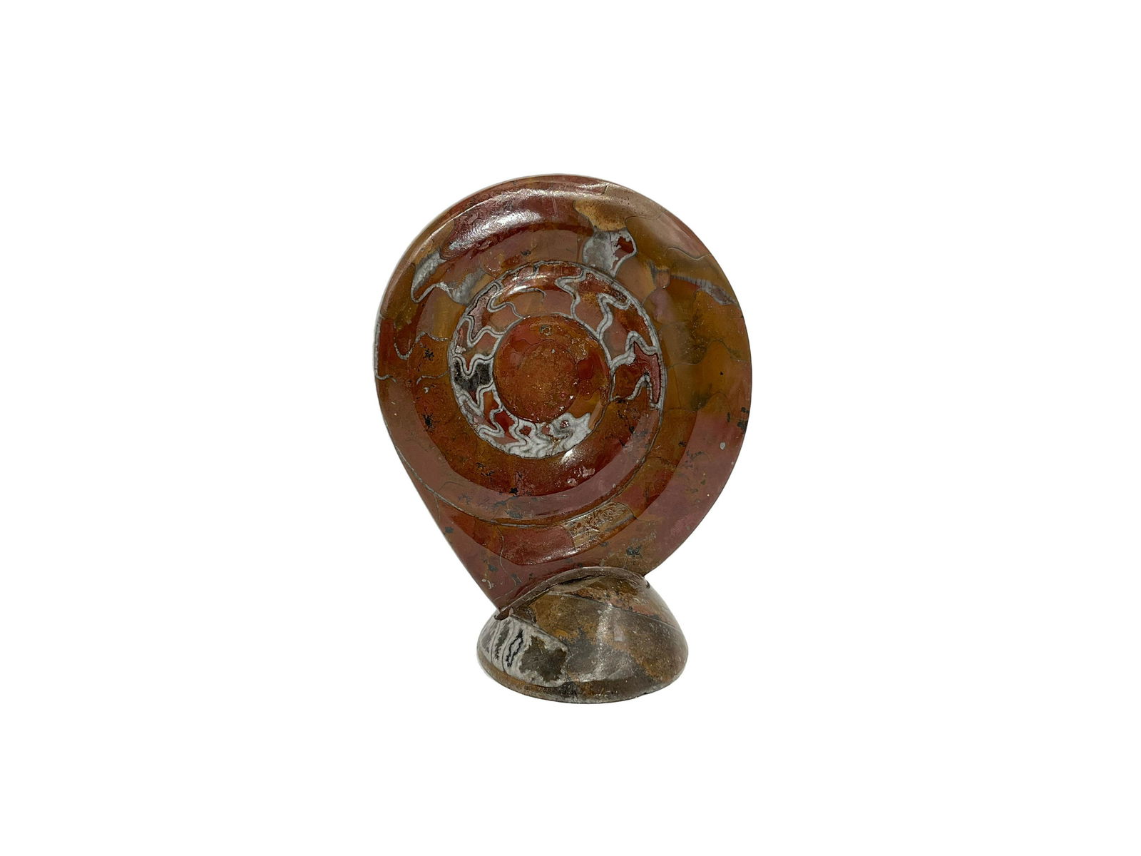 Jasper Carving Ammonite shaped (1 of 8)