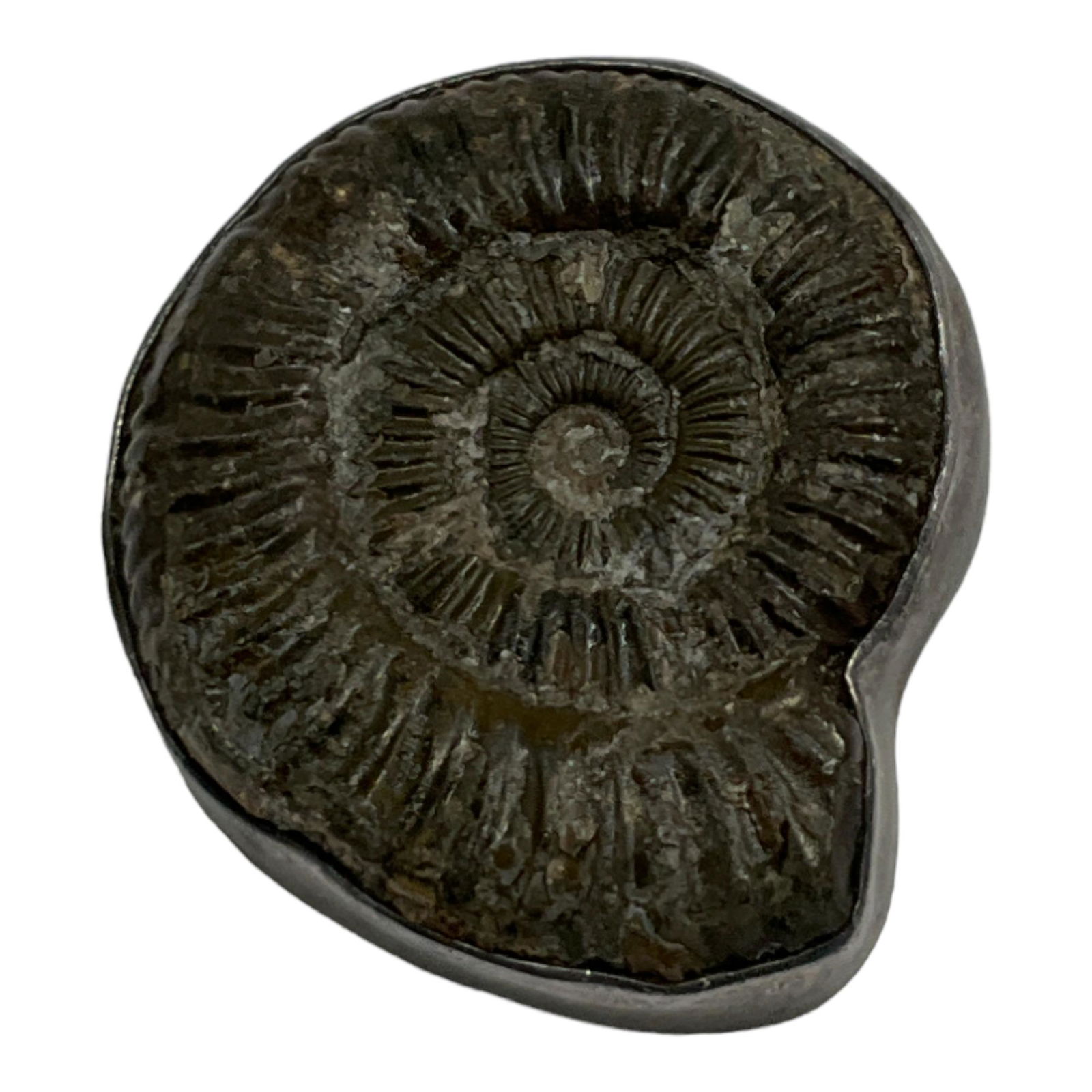 Vintage Amy Kahn Russell Ammonite Sterling Silver Brooch/Pendant (1 of 4)