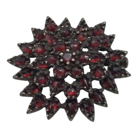 Antique 800 Silver Floral Garnet Pendant/Brooch