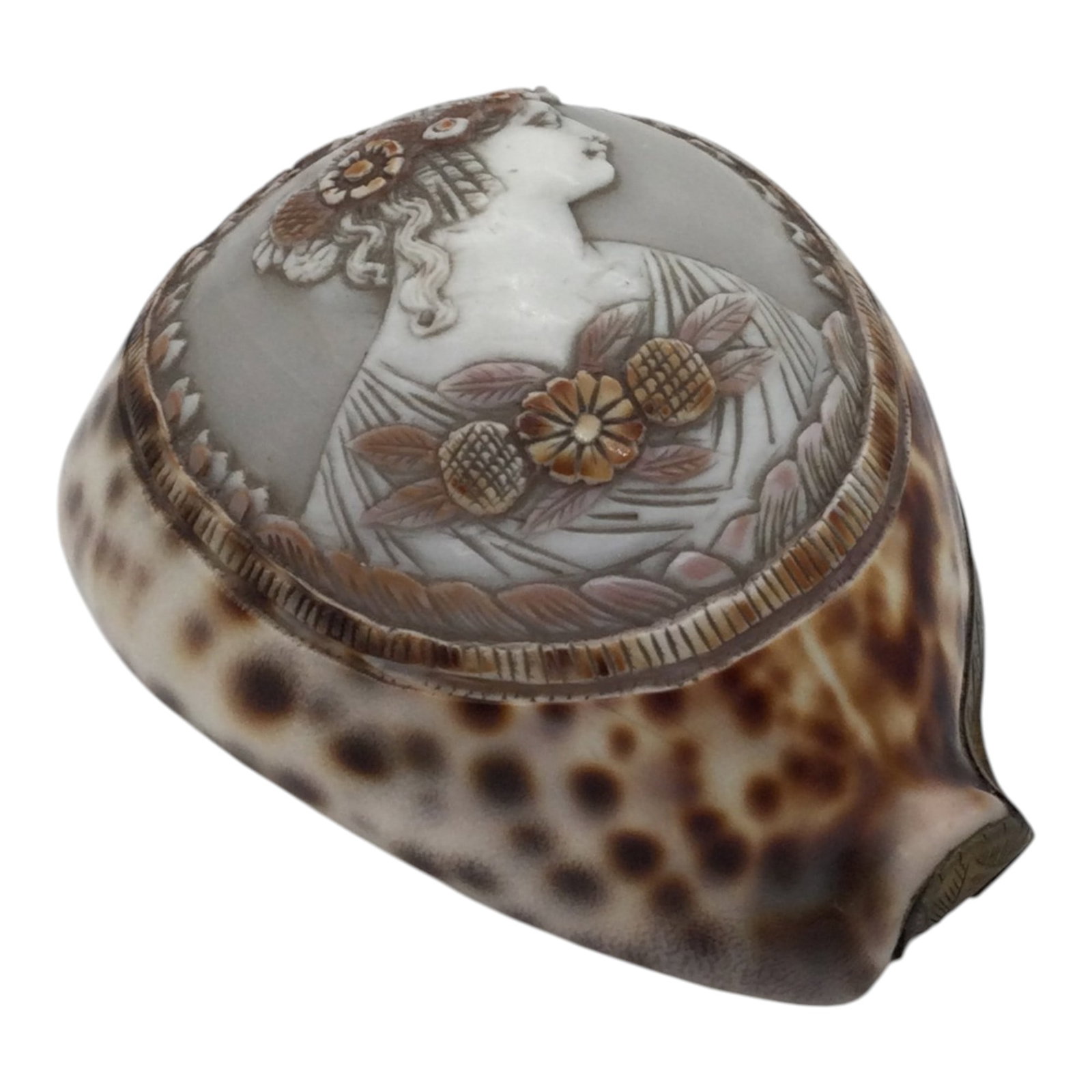 Vintage Hand Carved Conch Cameo Trinket Box: Vintage Hand Carved Conch shell Cameo Trinket Box with brass hinge and bezel. Approx. 2 inches tall x 3 wide x 4 deep, 4.8 oz.