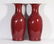 Pair Red Glazed Vases Qing Dynasty - 2