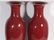 Pair Red Glazed Vases Qing Dynasty - 3