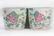 Pair Famille Rose Jardiniere Guangxu Period