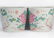 Pair Famille Rose Jardiniere Guangxu Period - 2