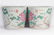 Pair Famille Rose Jardiniere Guangxu Period - 3