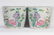 Pair Famille Rose Jardiniere Guangxu Period - 4