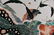 A Famille Verte Plate Kangxi Period - 4