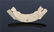 Two Jade Ornaments Warring States Period - 3