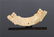 Two Jade Ornaments Warring States Period - 4