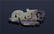 Pair White and Russet Jade Ornaments Han Dynasty - 5