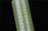 Pair Pale Celadon Jade Incense Holders Qing Dynasty - 4