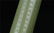 Pair Pale Celadon Jade Incense Holders Qing Dynasty - 5