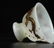 A White Jade Tureen Qing Dynasty - 9