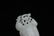 A Carved White Jade Plaque Qing Dynasty - 13