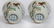 Pair Famille Verte Cups Kangxi Period - 6