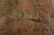 A Chinese Painting Handscroll - 5