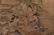 A Chinese Painting Handscroll - 7