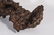 A Natural Form Chenxiang Block - 3
