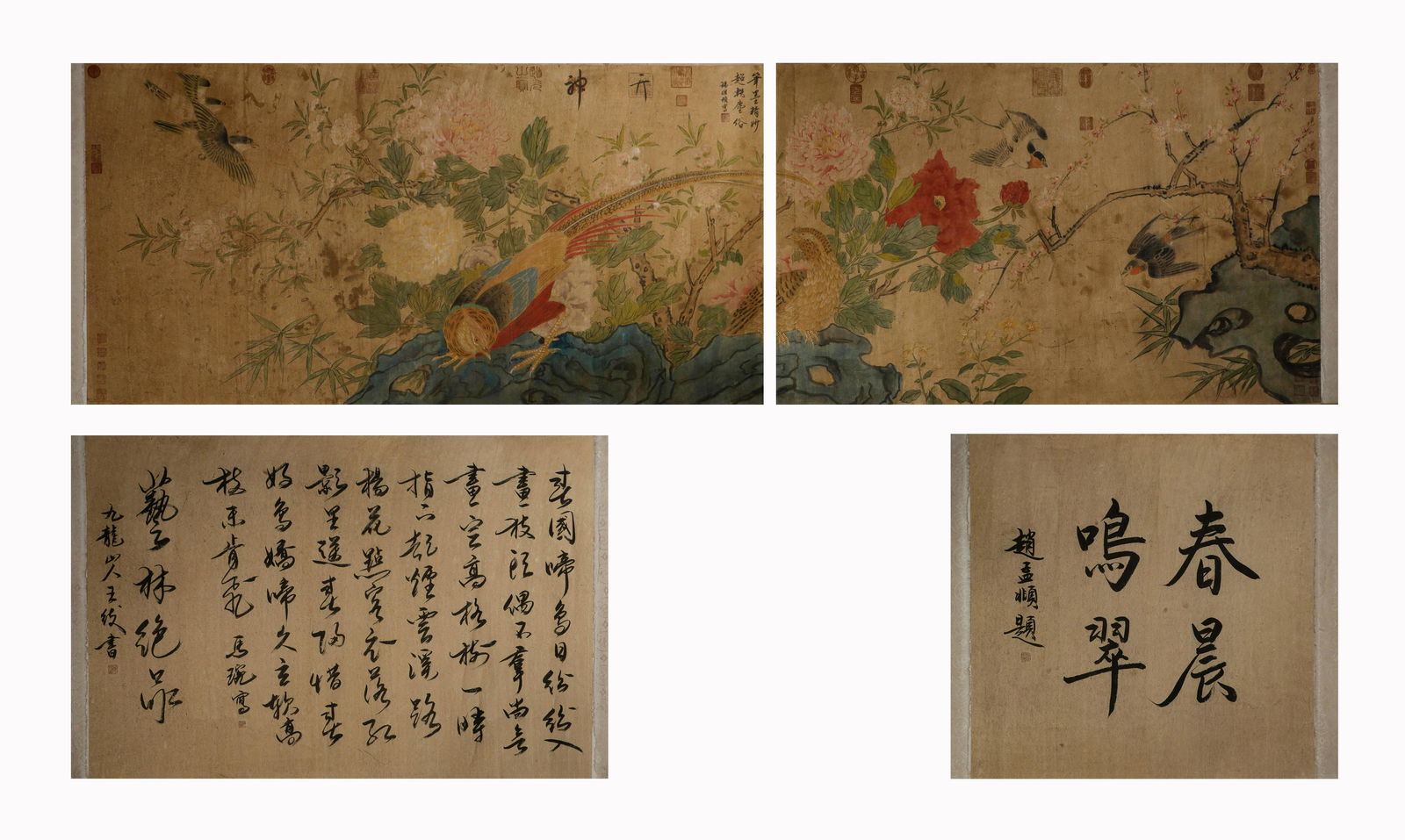 Song Dynasty Song Huizong Spring morning Ming Cui drawing this long volume (1 of 10)