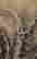 item-131297914=6