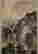 item-131297985=2
