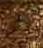 item-131298001=7