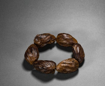 Qing Dynasty Qi Nan agarwood