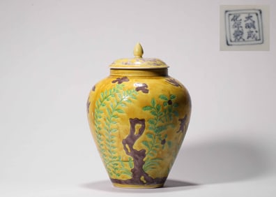 Ming Dynasty Multicolored Jar