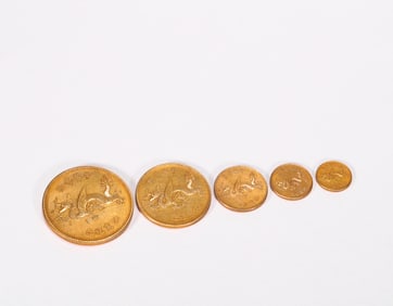 Hong Xian Era Pure Gold Commemorative Coin A Set