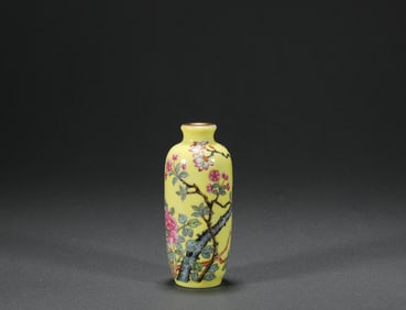 Qing Dynasty Qianlong enamel colored snuff bottle