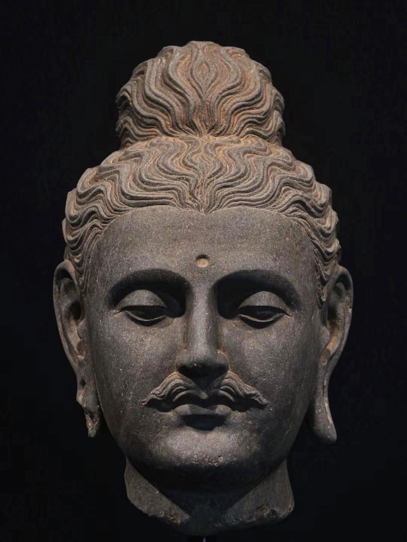 A GANDHARA GRAY SCHIST BUDDHA HEAD (1 of 9)