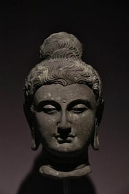 GANDHARA BUDDHA HEAD
