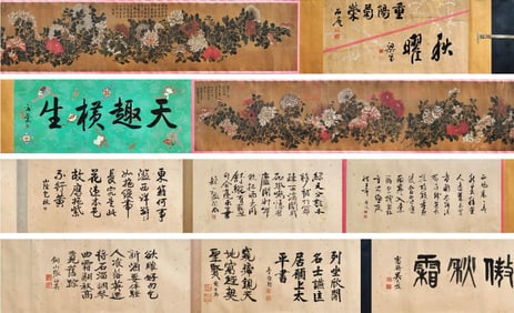 Qian Weicheng mark, Chinese Chrysanthemum painting, Ink and Color on Silk, Hand Scroll