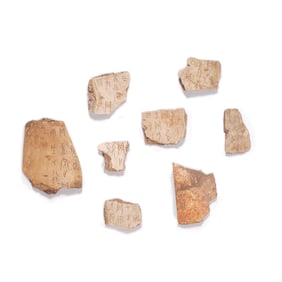 Shang Dynasty Set of eight oracle bone inscriptions
