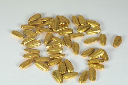 GILDED MELON SEEDS FROM THE QING DYNASTY
