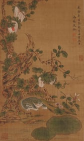 Shen Quan?Golden Toad?
