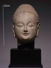 HEAD OF SAKYAMUNI BUDDHA FROM THE NORTHERN QI DYNASTY