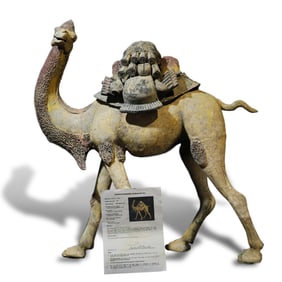Tang Dynasty Gray pottery camel figurine in walking posture