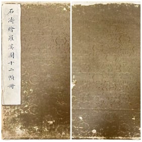 SHI TAO'S ARHAT PAINTING