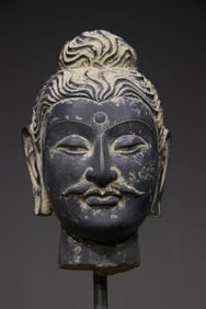 GANDHARA BUDDHA HEAD