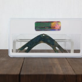 PRE-QIN TIGER HEAD BRIDGE COIN