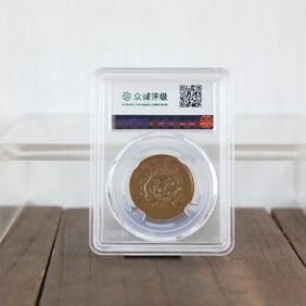 QING DYNASTY COINS