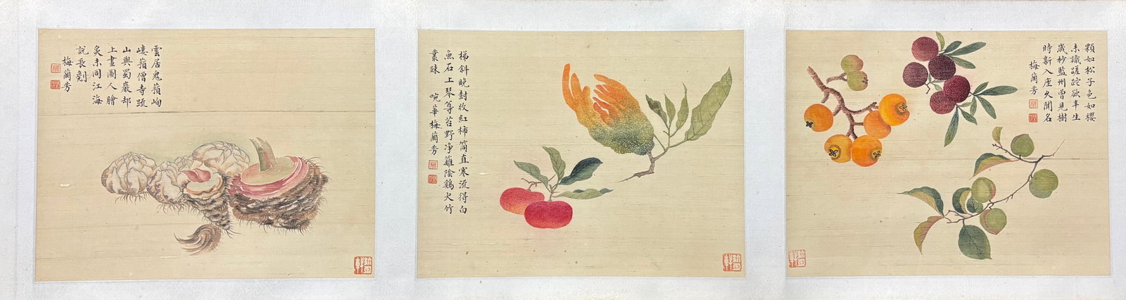 Mei Lanfang, Longevity and Spring, Hand Scroll - 9