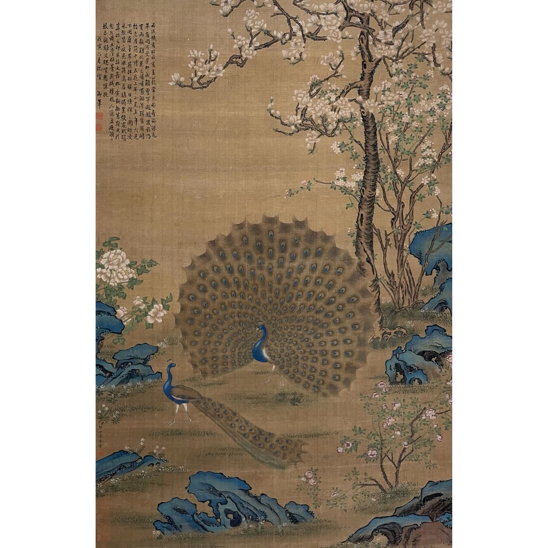 Giuseppe Castiglione, Flowers & Birds, Hanging Scroll: Name Giuseppe Castiglione, Flowers & Birds, Hanging Scroll Dimensions 103x67.5cm Description