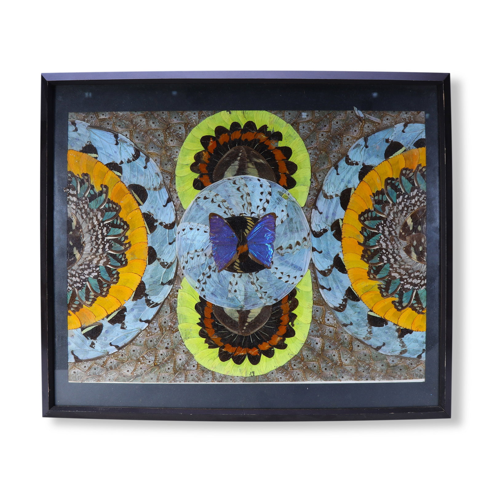 Butterfly Wing Art Painting (1 of 5)