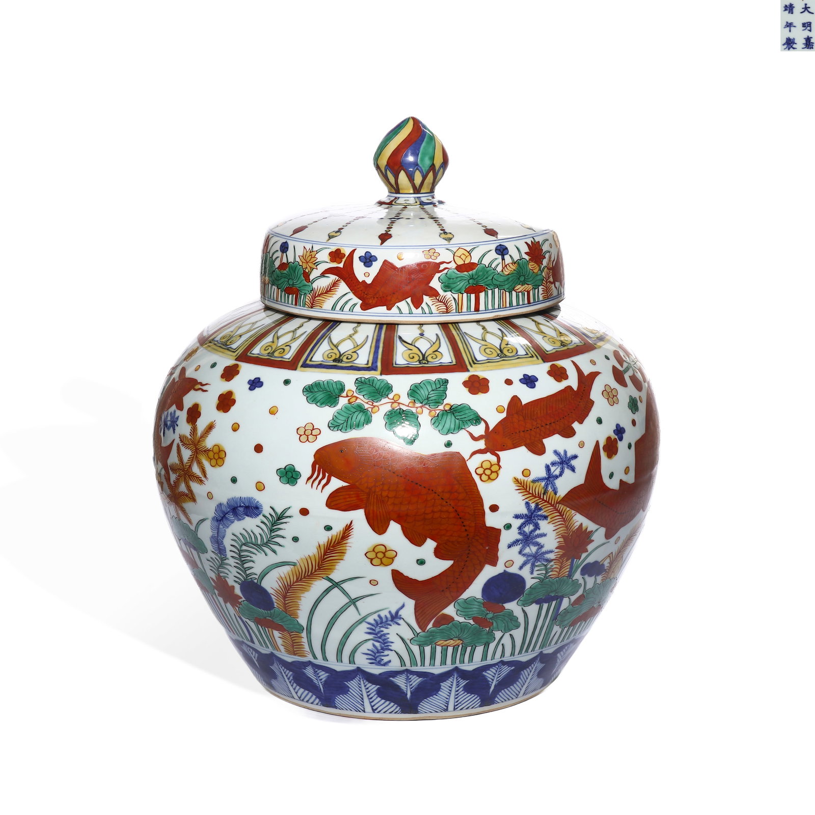 MING JIAJING MULTICOLORED FISH AND ALGAE PATTERN COVERED JAR: H: 49cm
