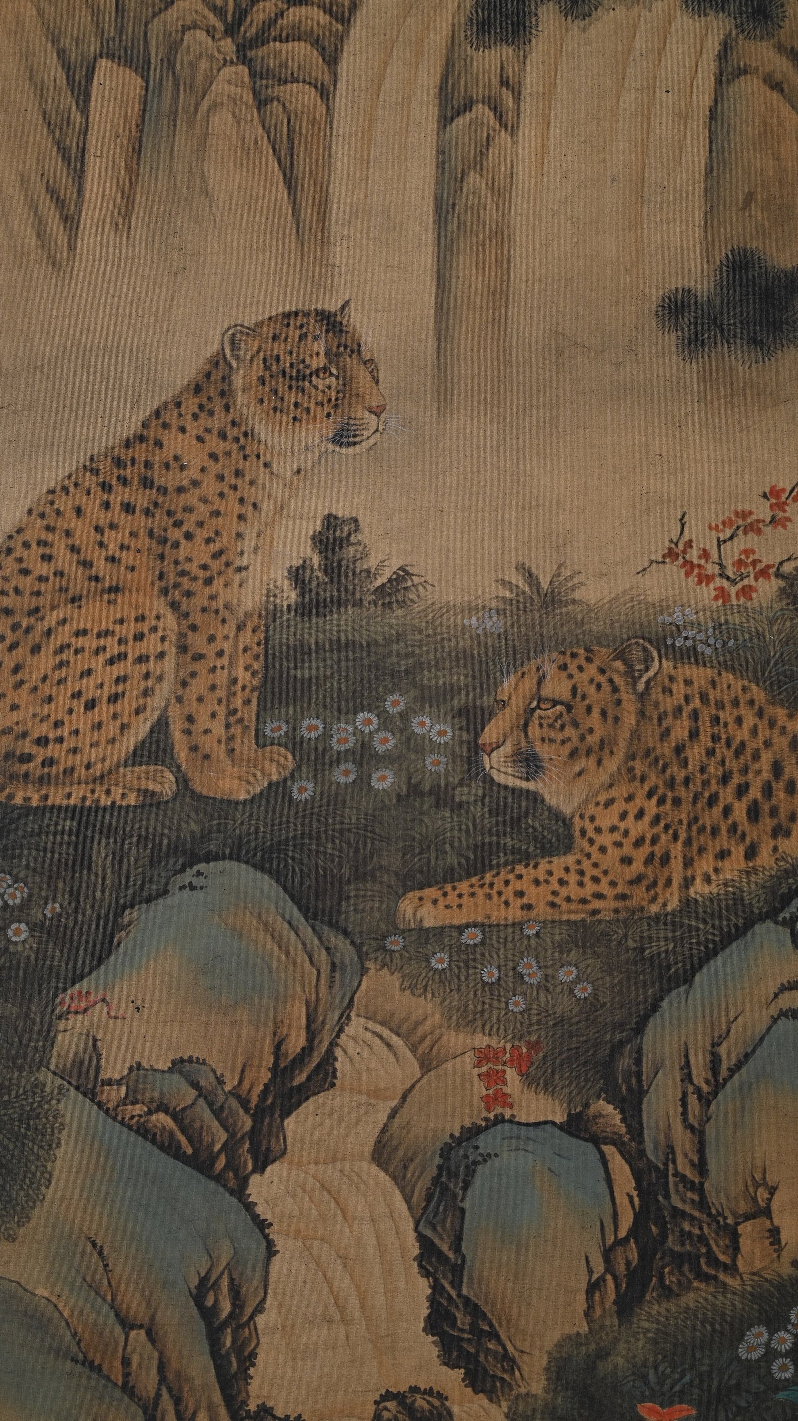 LANG SHINING LEOPARD - 3