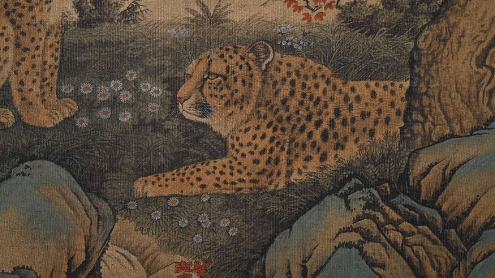 LANG SHINING LEOPARD - 4