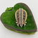 Victorian Gold Diamond Pearl Pin - 2